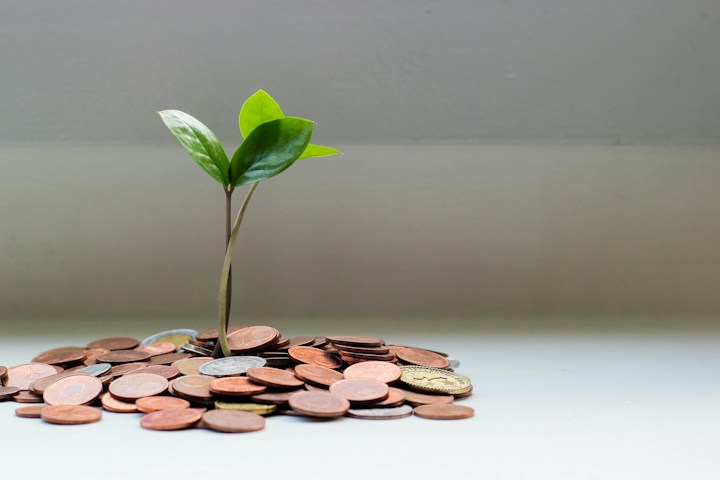Wealth & Finance department